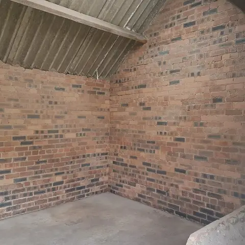 Brick wall after paint removal